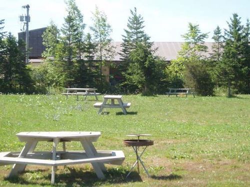 Wiarton Willy'S Inn Оуэн-Саунд Экстерьер фото
